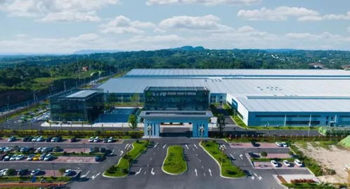 重慶 打造綜合金融服務場景 支持食品及農產品加工產業高質量發展