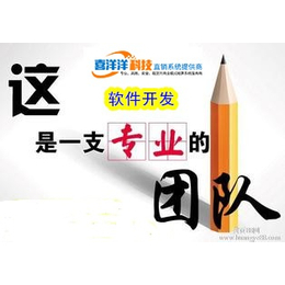 松原*開(kāi)發(fā)*軟件公司